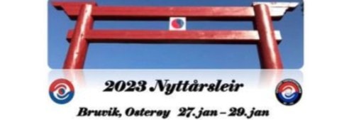 Nyttårsleier